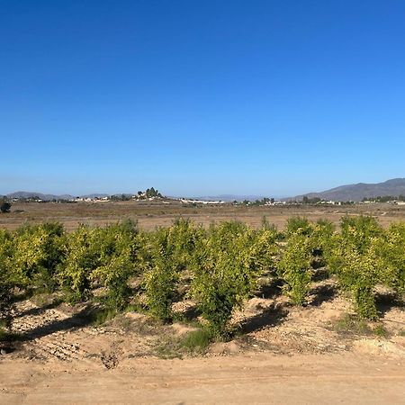 Villas Persas By Jardin De Persia Valle de Guadalupe Buitenkant foto